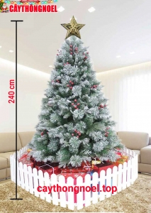 Cây Thông Cước Đầu Loa 5 Loại Lá Phủ Tuyết Gắn Trái Đỏ 2m4